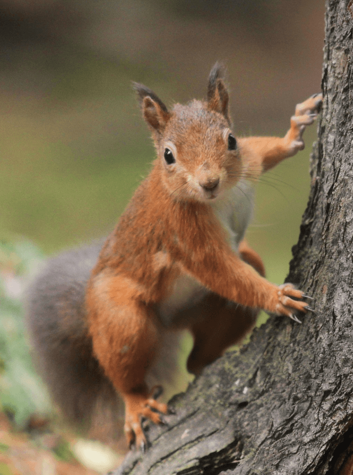 Национальный парк Кисловодский
